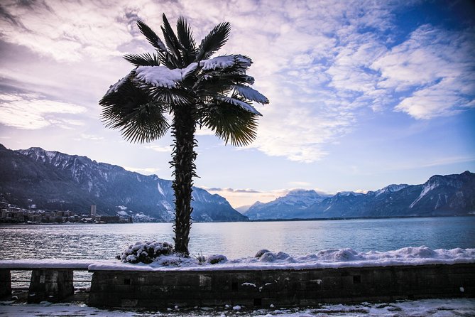 (Ktg303) - Winter Montreux, Chillon & Chaplins World From Geneva - Ride Along Unesco-Listed Lavaux