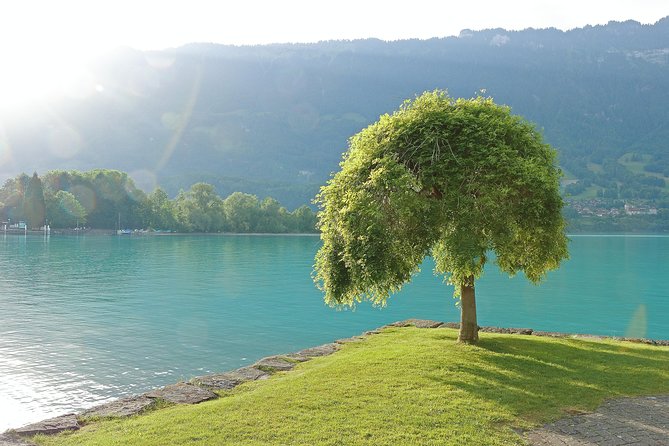 1 ktl361 interlaken day trip by bus from lausanne (Ktl361) - Interlaken Day Trip by Bus From Lausanne