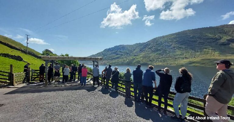 Kylemore, Sheep Farm and Connemara Private Limousine Tour