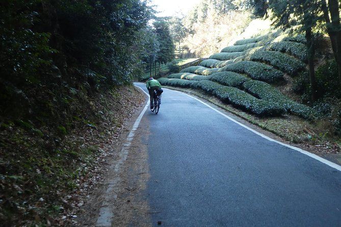 Kyoto, Nara 2 Days Bike Tour With Overnight Self Guided