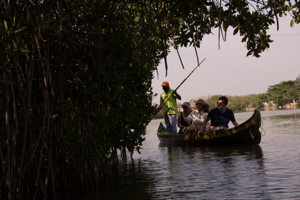 1 la boquilla 3 hour canoe tour through the manglars La Boquilla: 3-Hour Canoe Tour Through the Manglars