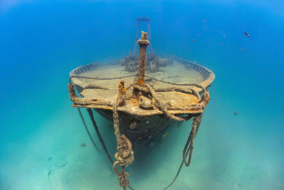 La Paz: Shipwreck Diving Experience