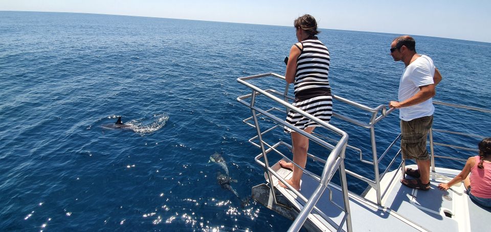 1 lagos 90 minute dolphin watching by catamaran Lagos: 90-Minute Dolphin Watching by Catamaran