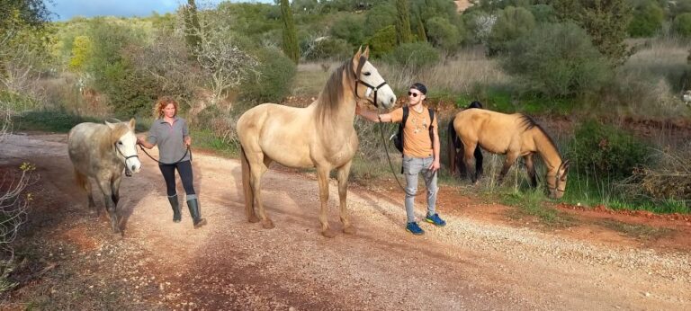 Lagos: a Walk With a Rescued Horse at the Sanctuary