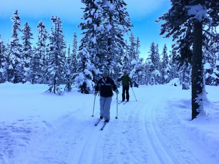 Lake Louise: Cross Country Skiing Lesson With Tour