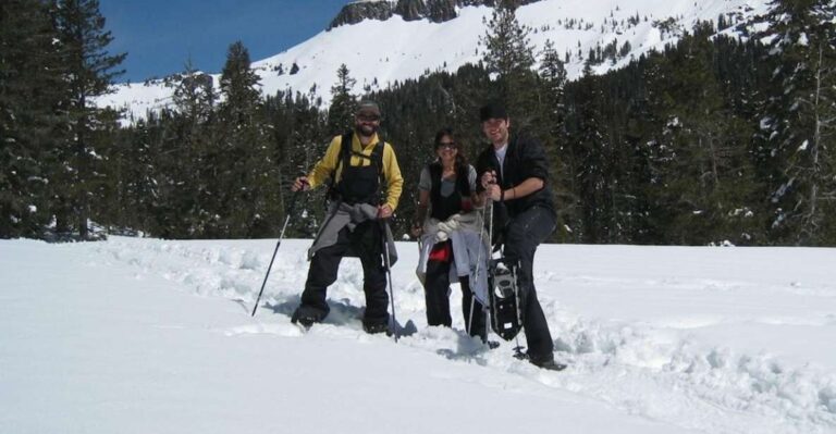 Lake Tahoe: Snowshoeing Guided Tour
