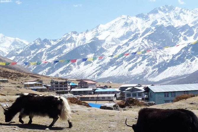 1 langtang valley trek 10 Langtang Valley Trek