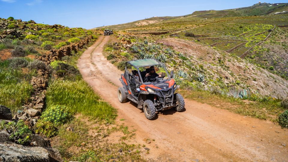 Lanzarote: Guided Off-Road Volcano Buggy Tour With Pickup - Tour Overview