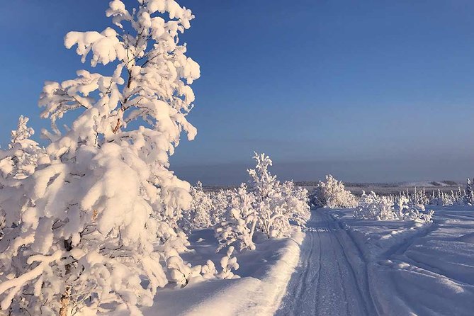 1 lapland 2 person snowmobile tour with lunch from kiruna Lapland 2-Person Snowmobile Tour With Lunch From Kiruna