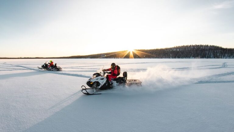 Lapland: Full-Day Snowmobile Safari Into the Wilderness