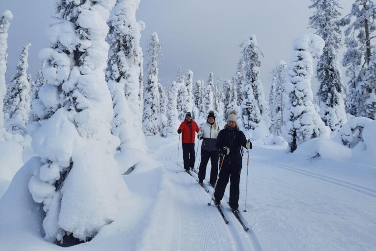 Lapland Levi: Cross-country Skiing for Beginners