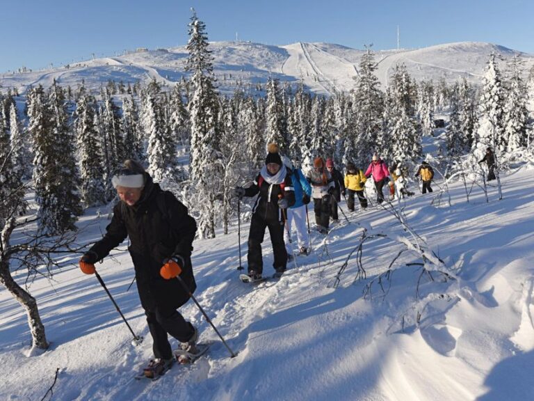 Lapland Levi Fell: Panoramic Snowshoeing