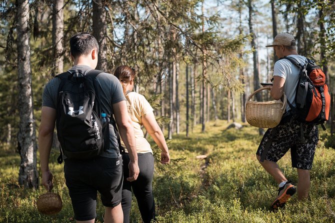 Lapland Small-Group Foraging Tour From Rovaniemi (Mar )