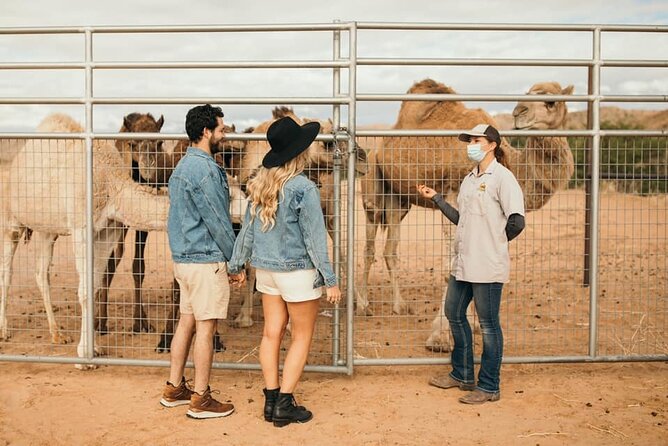 Las Vegas Safari Tram Ride and Zoo Tour at Camel Safari - Wildlife and Location Details