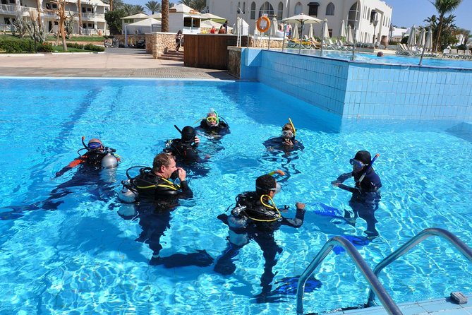 1 learn to dive padi open water diver course Learn to Dive PADI Open Water Diver Course