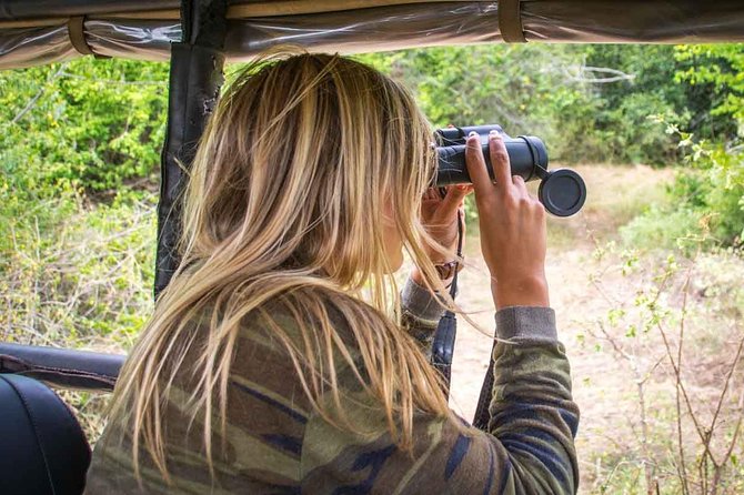 1 leopard safari tour in yala national park Leopard Safari Tour in Yala National Park