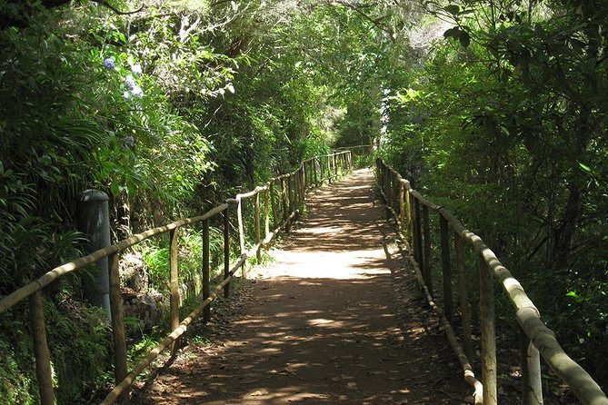 1 levada do caldeirao verde levada walk from funchal Levada Do Caldeirão Verde Levada Walk From Funchal