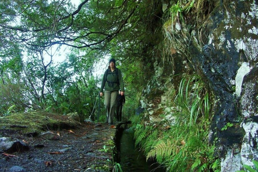 Levada Walk and Caldeirao Verde Waterfalls: Madeira