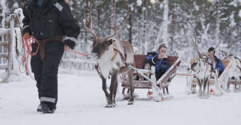 Levi: Lappish Village Experience and Reindeer Sled Ride