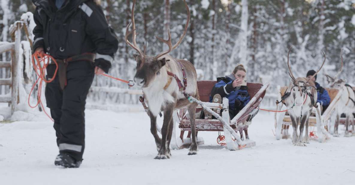 1 levi lappish village experience and reindeer sled ride Levi: Lappish Village Experience and Reindeer Sled Ride