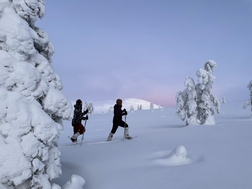 1 levi pallas yllastunturi national park snowshoeing tour Levi: Pallas-Yllästunturi National Park Snowshoeing Tour