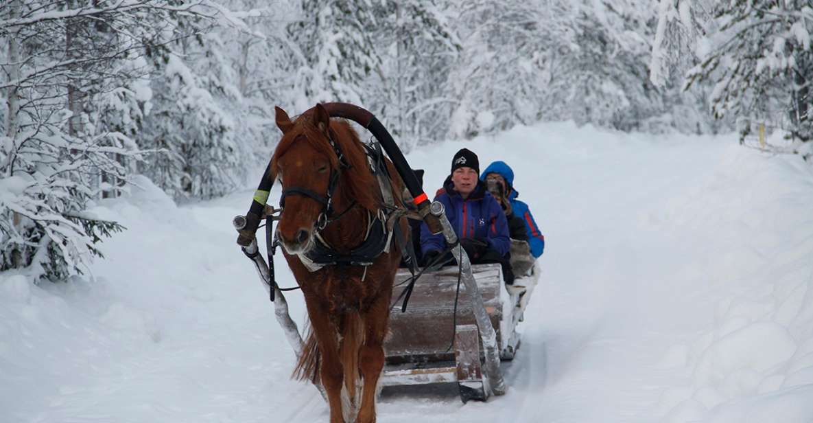 1 levi polar lights tours one horse open sleigh ride Levi, Polar Lights Tours: One Horse Open Sleigh Ride