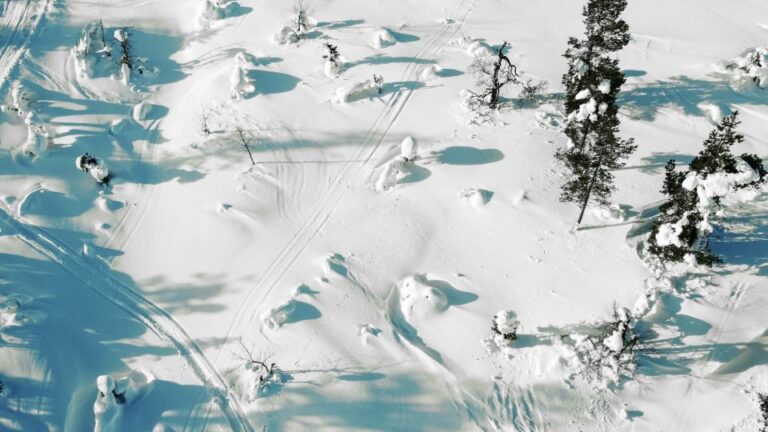 Levi: Snowshoe Adventure in the Wilderness