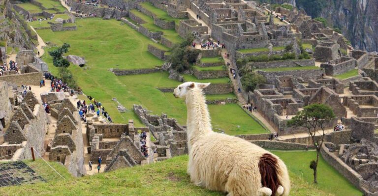 Lima: 9-Day Peru Express With Ica, Cusco, and Puno