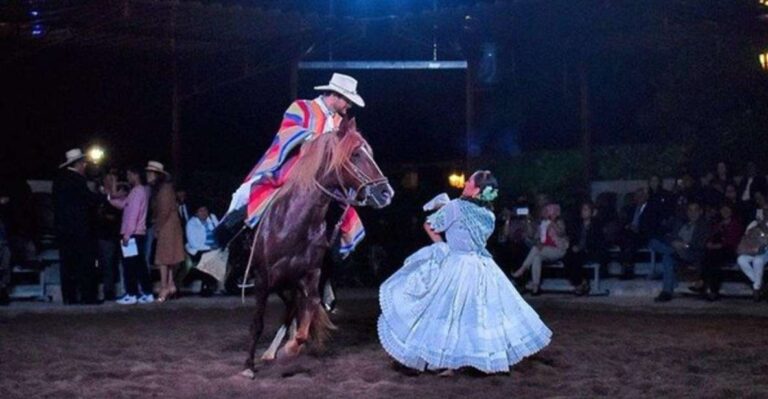 Lima: Buffet Dinner, Dance Show Peruvian Paso Horses