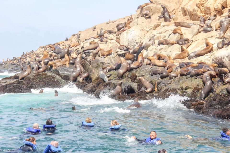 1 lima palomino islands speedboat tour swim with sea lions Lima: Palomino Islands Speedboat Tour & Swim With Sea Lions