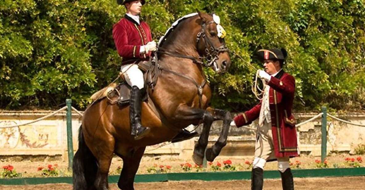 1 lisbon morning of equestrian art with lusitano horses Lisbon: Morning of Equestrian Art With Lusitano Horses