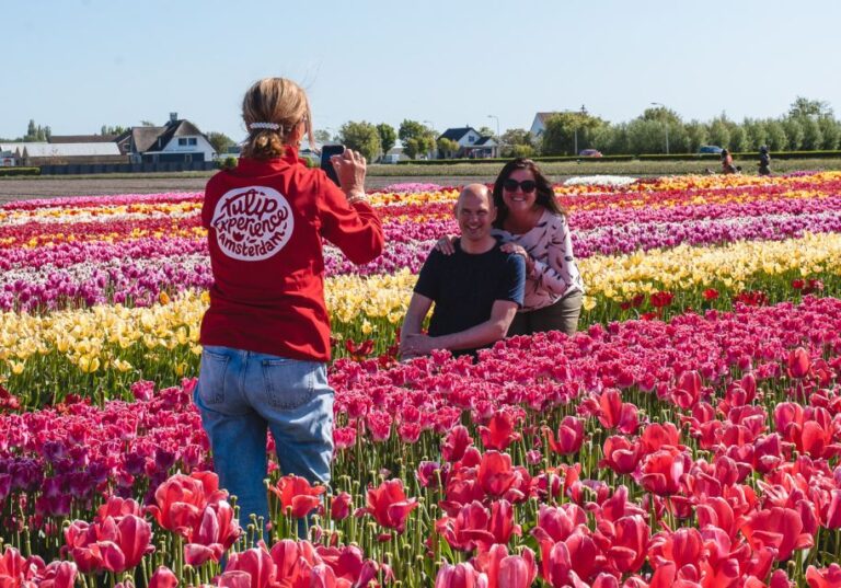 Lisse: Tulip Experience Ticket With Museum & Flower Picking