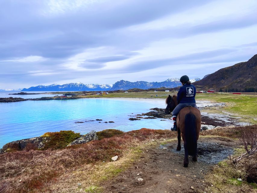 1 lofoten guided horse riding tour over hov and hovsund Lofoten: Guided Horse Riding Tour Over Hov and Hovsund