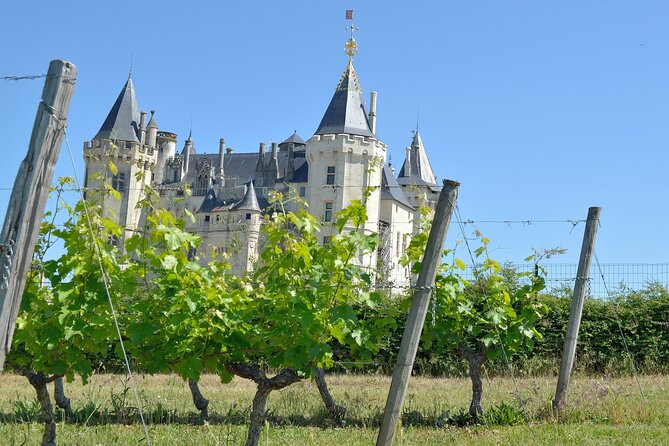 Loire Valley Wine Region: Private Full Day Tour From Tours - Itinerary Overview