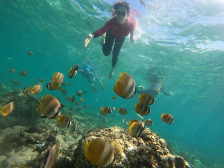 Lombok : Trawangan, Meno & Air Islands Full Day Snorkeling