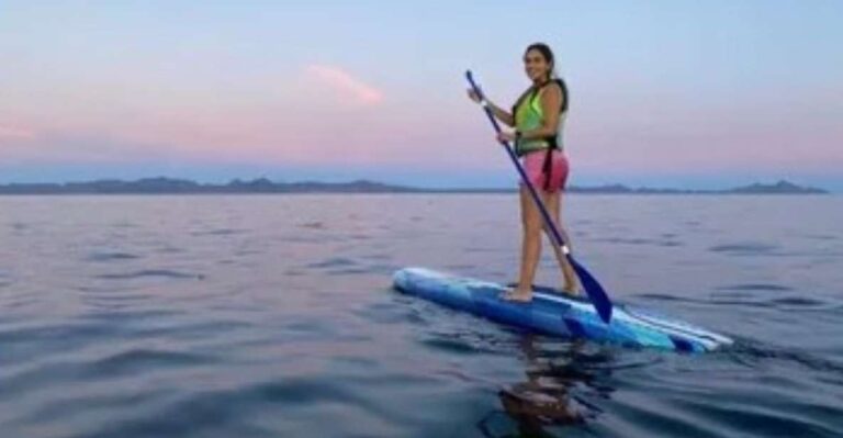 Loreto: Paddleboard Rental Service