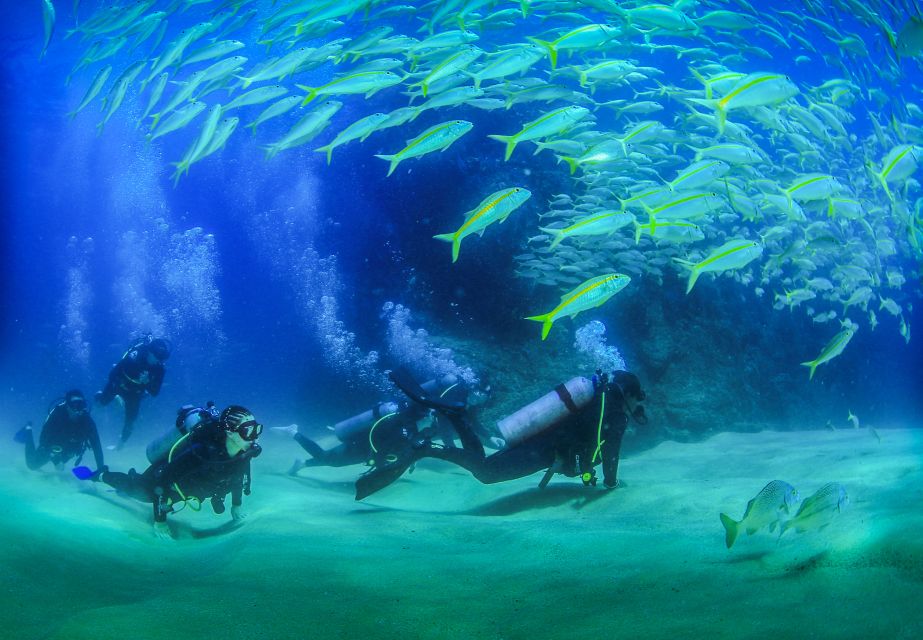 1 los cabos 3 hour introductory scuba diving adventure Los Cabos: 3-Hour Introductory Scuba Diving Adventure