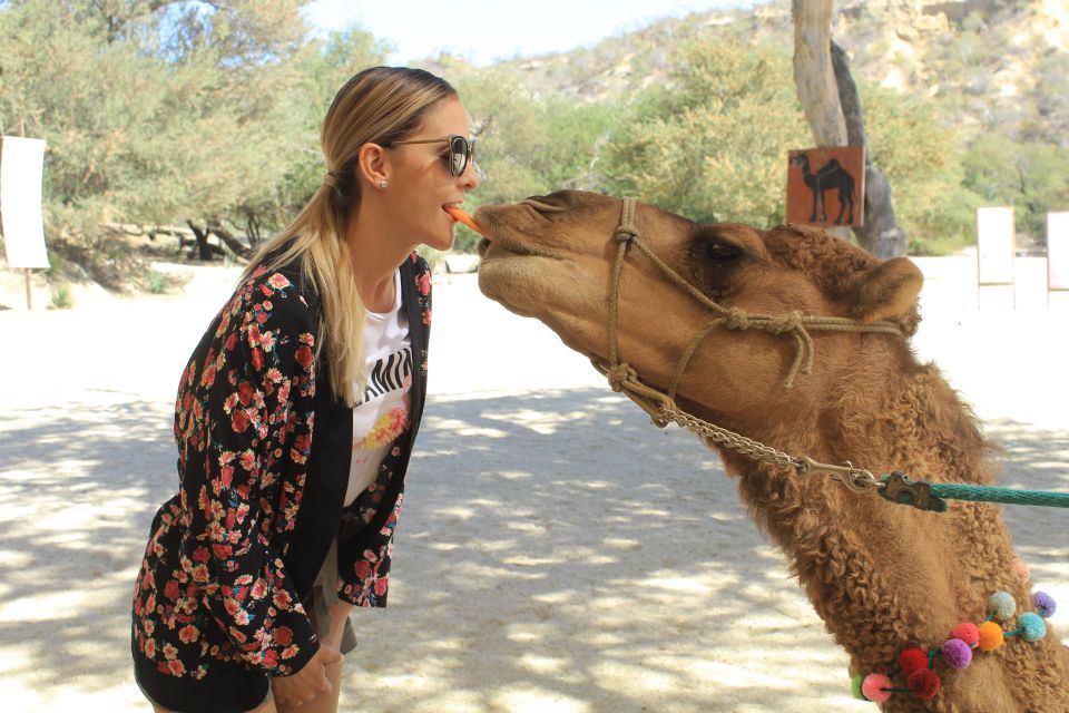 1 los cabos animal sanctuary tour Los Cabos: Animal Sanctuary Tour