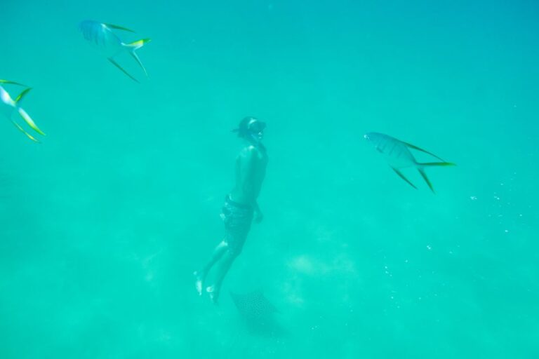 Los Cabos: Chilena & Santa María Bay Private Snorkeling Tour