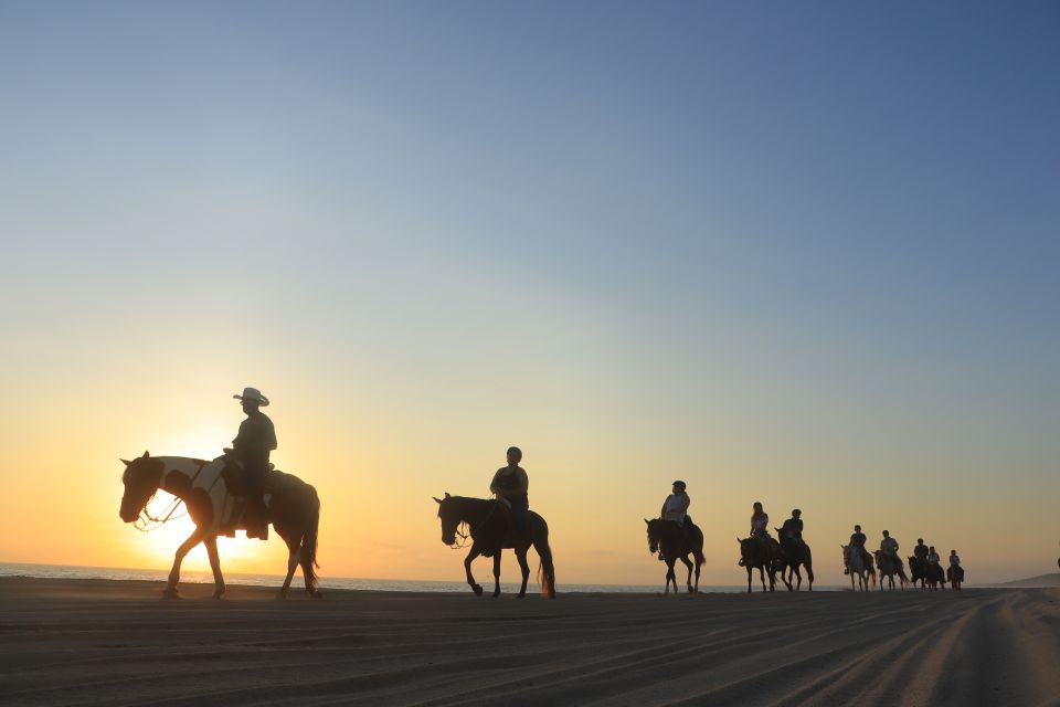 1 los cabos horseback ride on pacific beach and desert Los Cabos: Horseback Ride on Pacific Beach and Desert