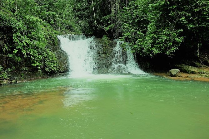 Los Campesinos Reserve, Waterfalls and Wildlife: Small-Group  – Quepos