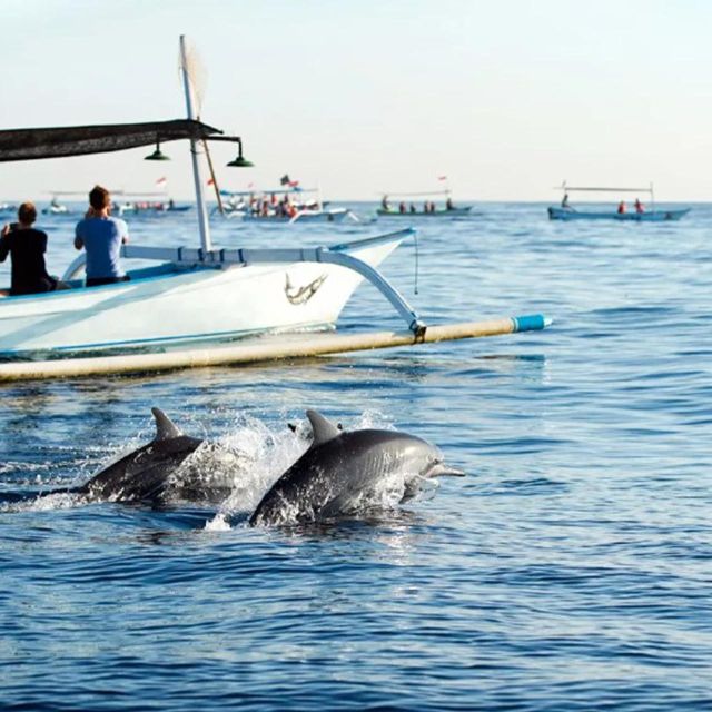 1 lovina beach sunrise dolphin watching and snorkeling cruise Lovina Beach: Sunrise Dolphin-Watching and Snorkeling Cruise