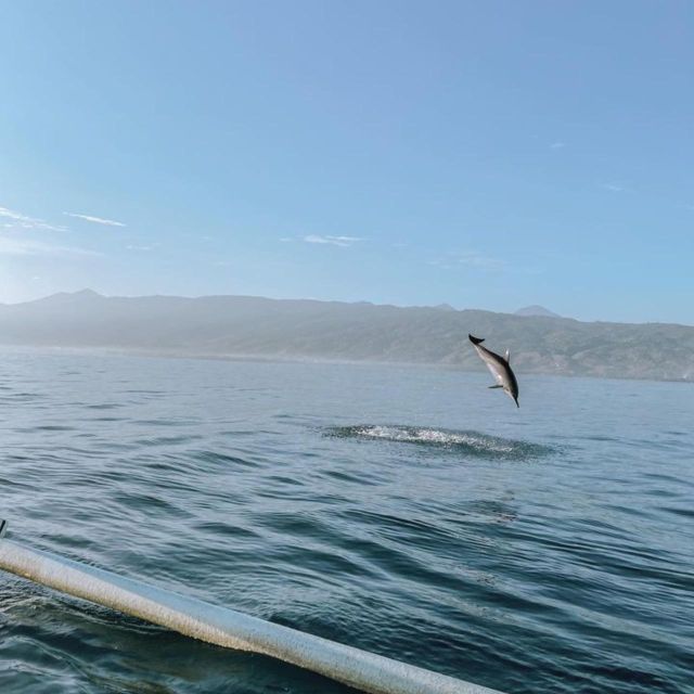 Lovina Dolphin Wacthing Sunrise & Snorkeling Tour