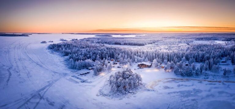 Luleå : Snowmobile – Forest and Ice Nature Tour 2h