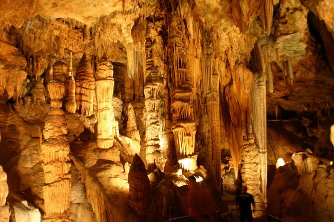 Luray Caverns & Shenandoah Skyline Drive Day-Trip From DC