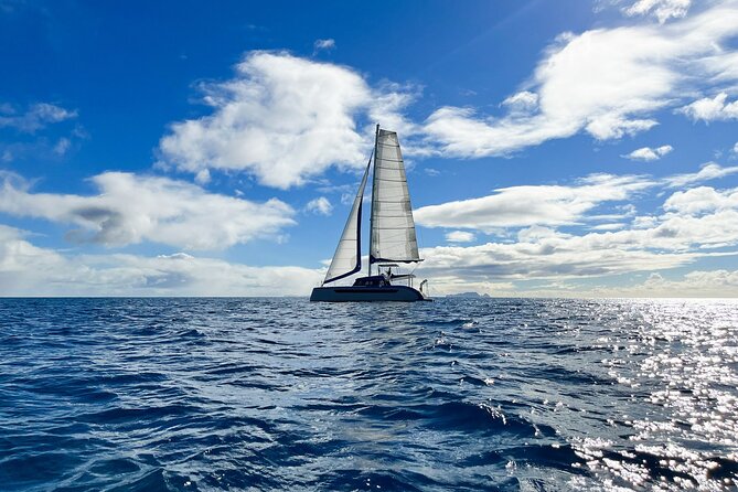 1 luxury catamaran sailing tour with tasting madeira wine 2 Luxury Catamaran Sailing Tour With Tasting Madeira Wine