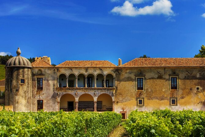 Luxury Private Arrábida Tour and Bacalhoa Palace With Exclusive Wine Taste
