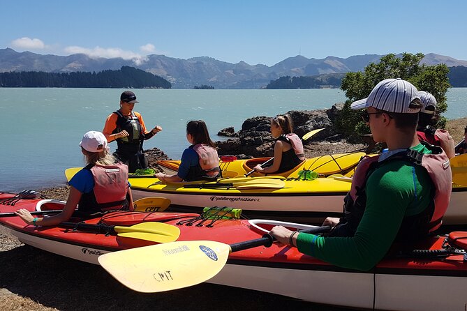 Lyttelton Shore Excursion – Sea Kayaking, Quail Island & Harbour