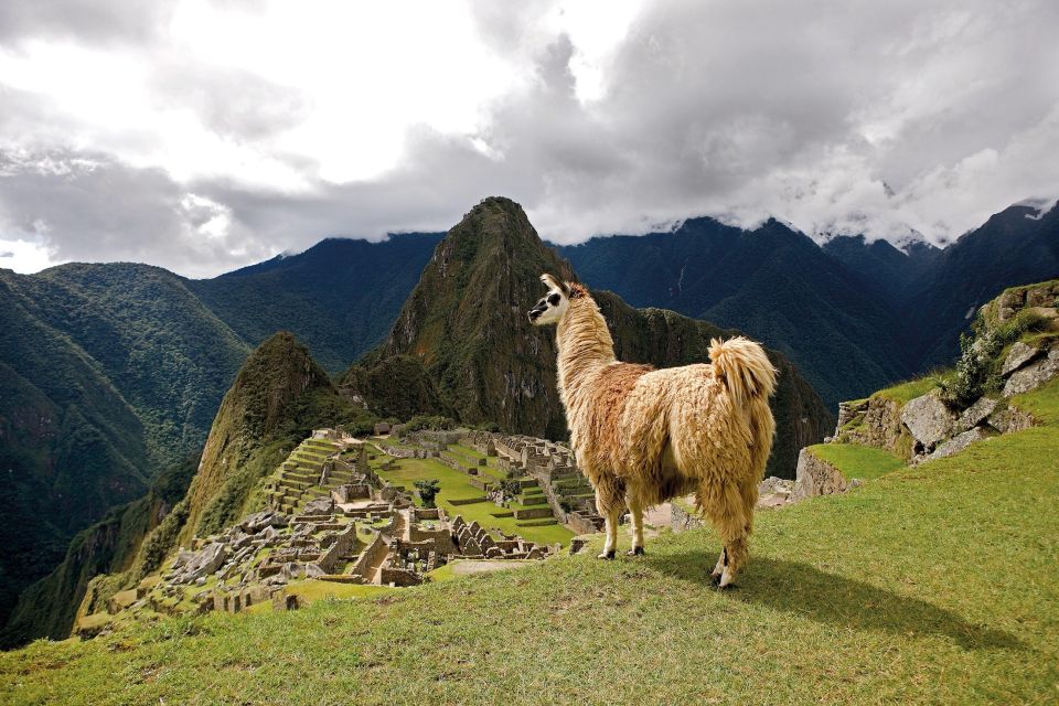 1 machu picchu full day tour 3 Machu Picchu Full Day Tour