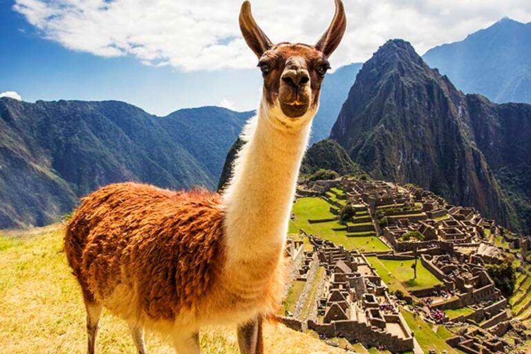 Machu Picchu Huayna Picchu Mountain Private Tour